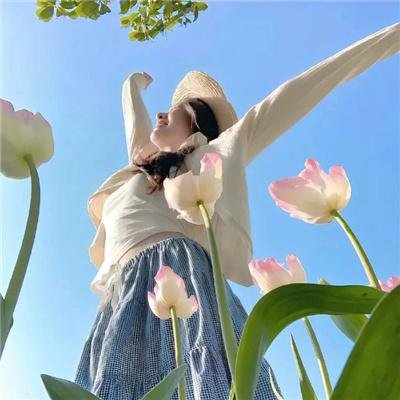 花颜劫